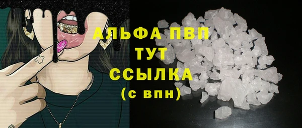 ПСИЛОЦИБИНОВЫЕ ГРИБЫ Верея