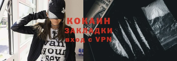 ПСИЛОЦИБИНОВЫЕ ГРИБЫ Верея
