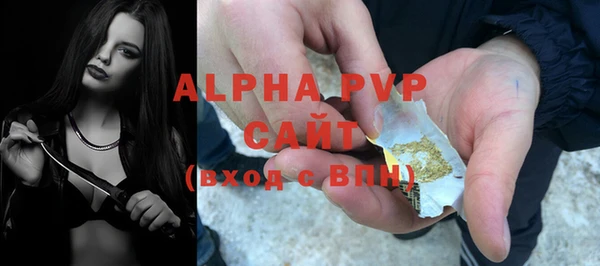 ПСИЛОЦИБИНОВЫЕ ГРИБЫ Верея
