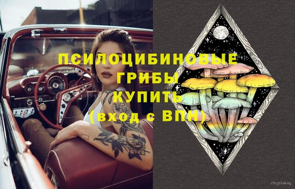 ПСИЛОЦИБИНОВЫЕ ГРИБЫ Верея
