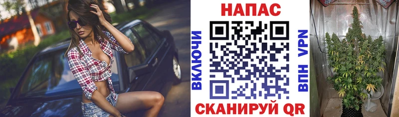 Бошки Шишки Ganja  закладка  Волгодонск 
